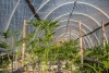 Trellis Netting roll (6.5' x 3280) in Bulk