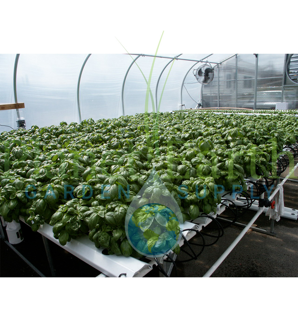 American Hydroponics Standard Commercial NFT Growing System 1152 Sites - Basil or Lettuce (AH93078HF)