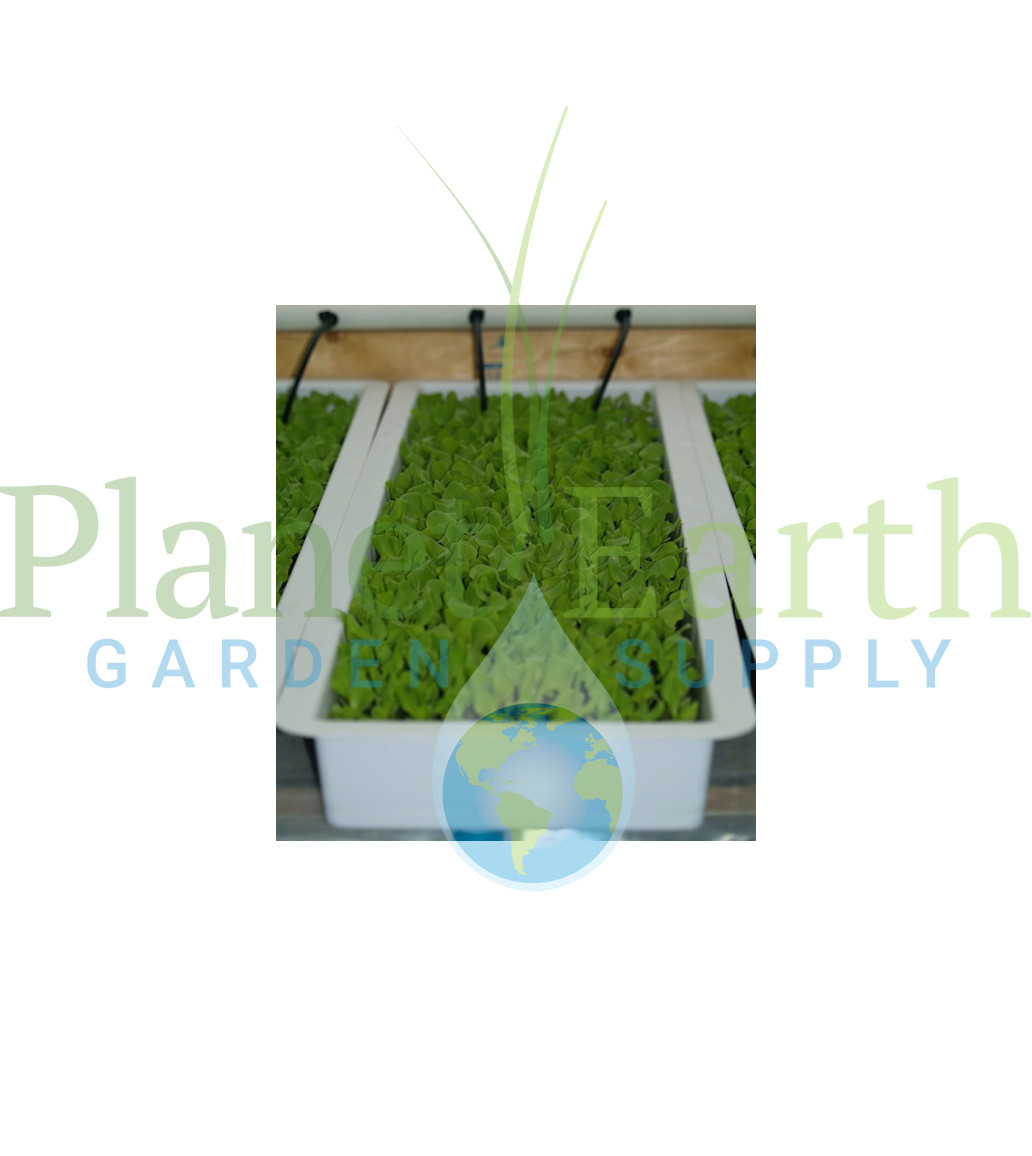 American Hydroponics Standard Commercial NFT Growing System 1152 Sites - Basil or Lettuce