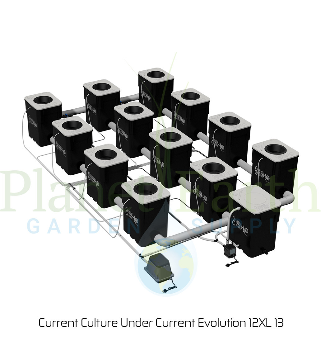 Current Culture Under Current Evolution 12XL 13 (743066) UPC 697691621357