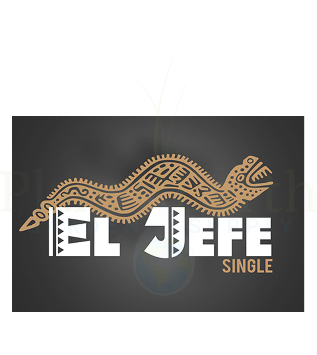 DL Wholesale El Jefe 8'' Single Lamp Reflector in Bulk (129737) 4646003858826 (3)