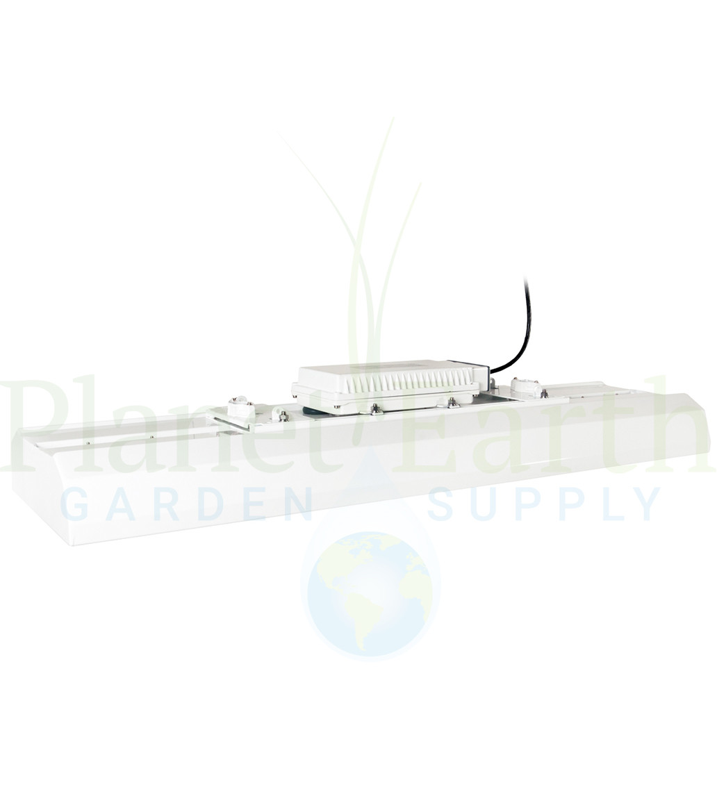 Induction Light Fixture 400W Bloom (3100K) (IN400FS) UPC 4646003859489 (2)