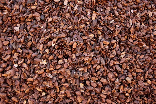 A top-down view of dark brown cocoa bean shells, showing their flaky, textured surface.
