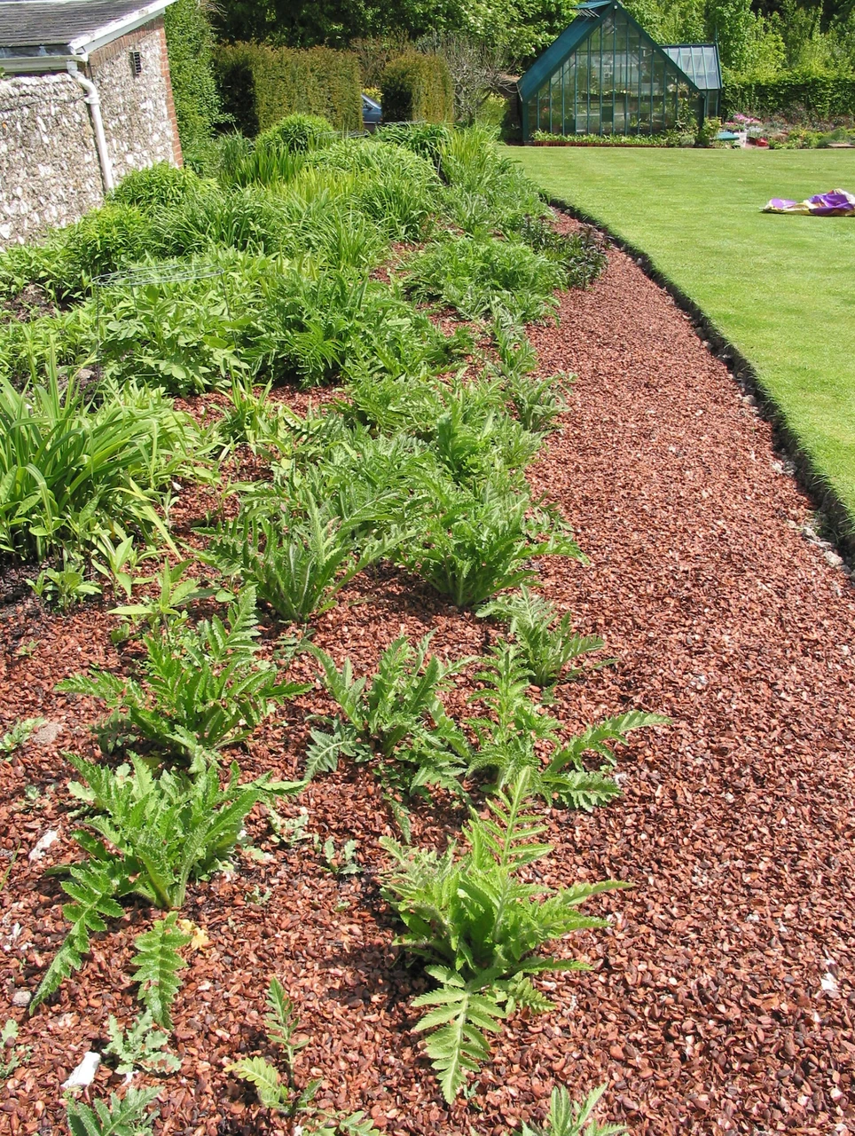 Rich brown cocoa shell mulch spread in a garden bed alongside green plants and a lawn.