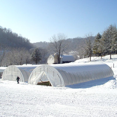 Sun Master 6 Mil (10' X 125') 55% Opacity White Greenhouse Film