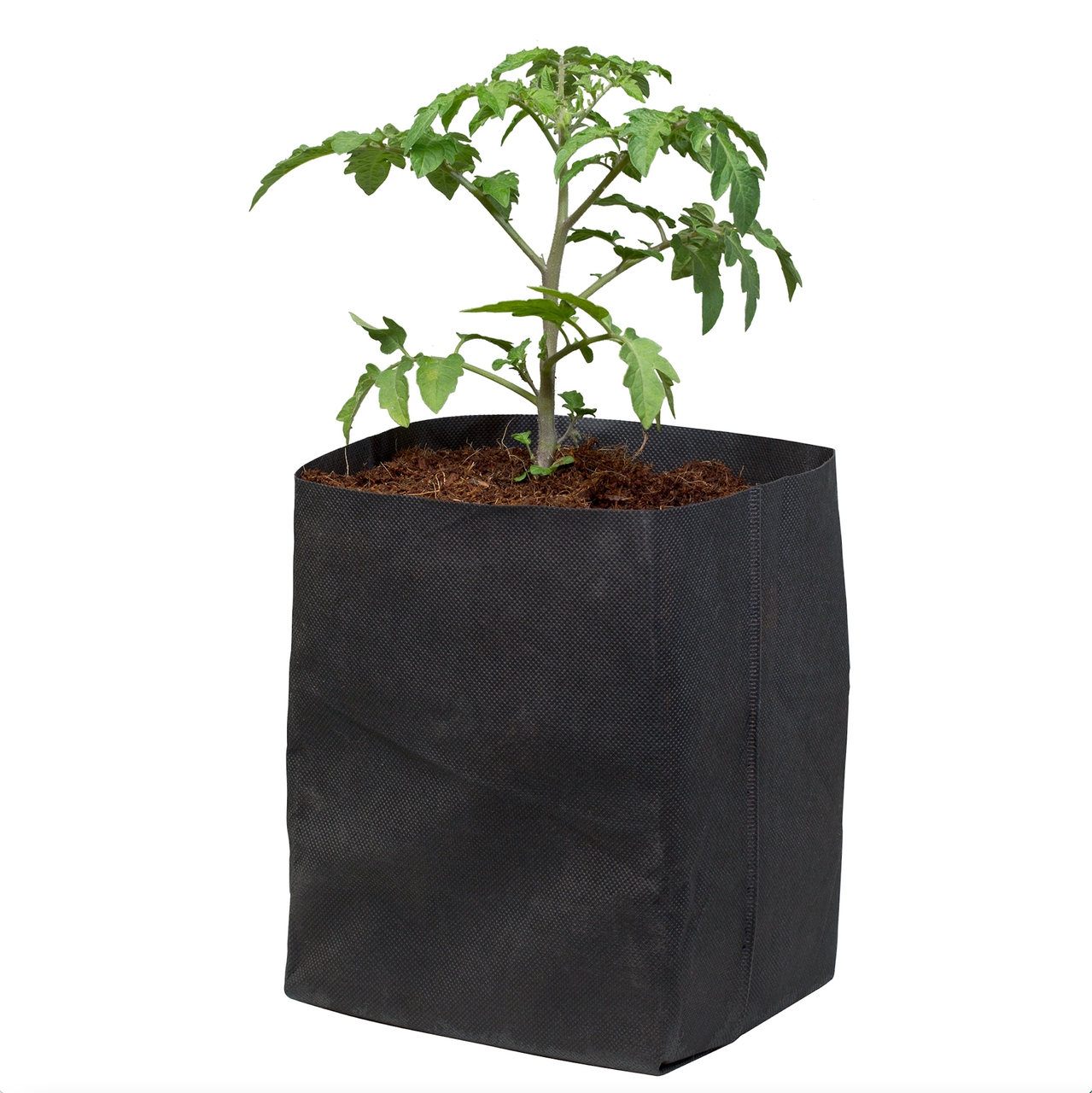 Botanicare CocoPro Bag #3 (14 count) in Bulk (714856) UPC 20757900714851 (4)