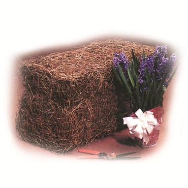 Ameriscape® Baled Pine Straw Needles (4 cubic foot bags) in Bulk (AMSBPS4) UPC 
