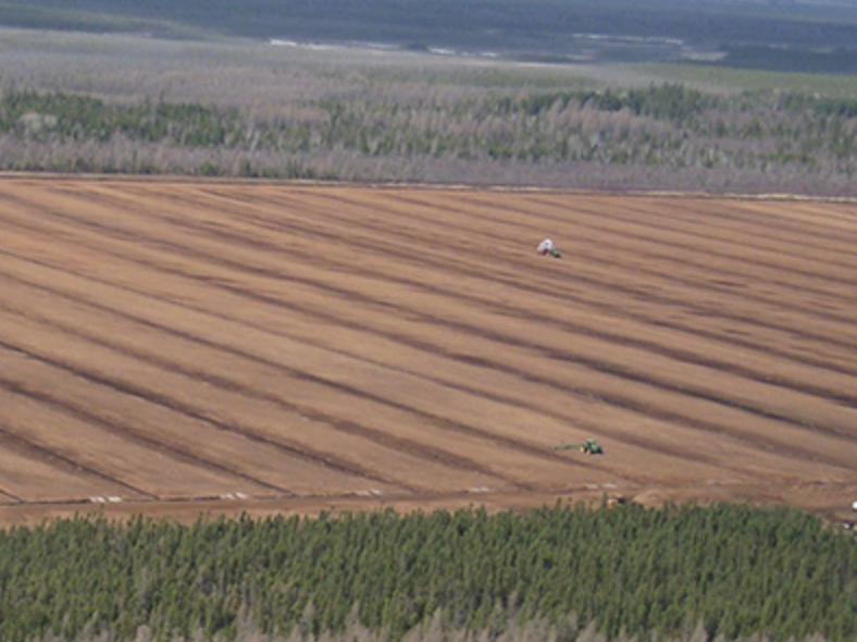 Profile Products Canadian Sphagnum Peat Moss (135 cubic foot compressed bales) Full Truckload (3)