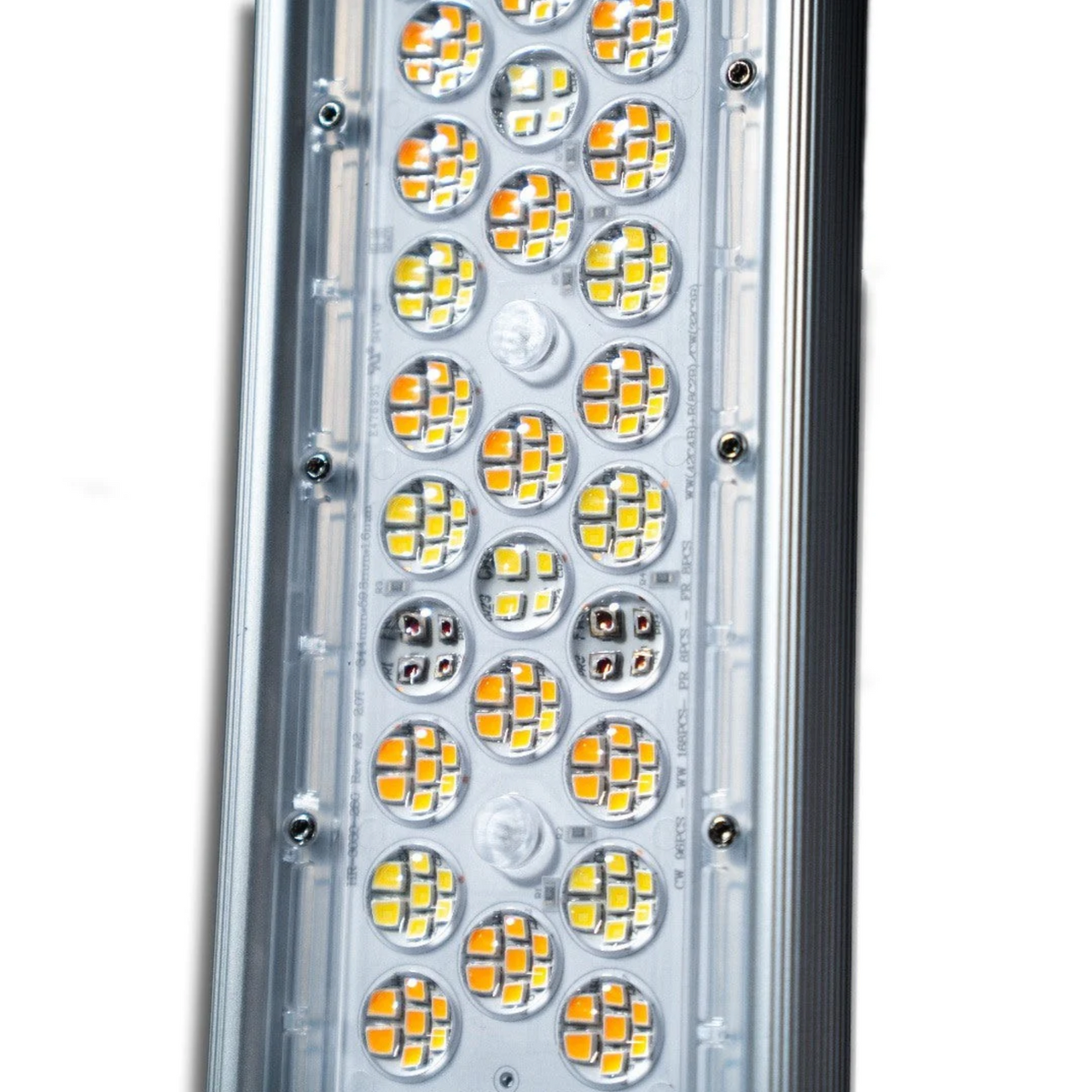 Close-up of Fohse LED grow light bar with rows of yellow and white diodes.