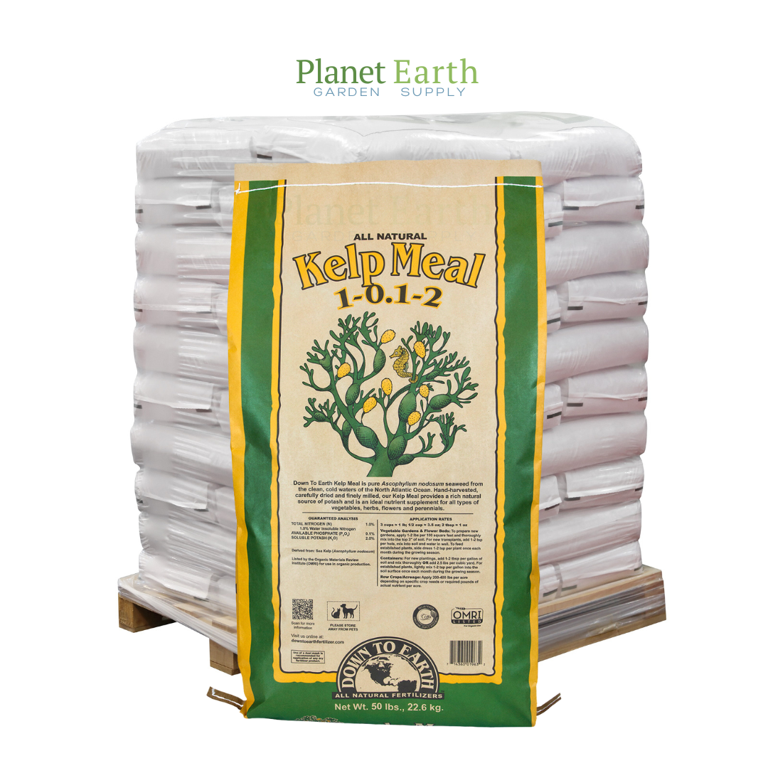 Down To Earth Kelp Meal 1-0.1-2 (50 pound bags) in Bulk (723730) UPC 40714360019630 (1)