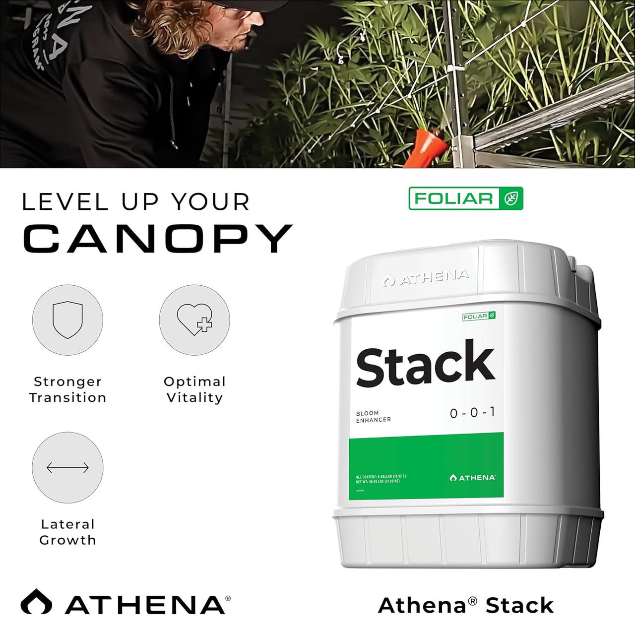 Athena Stack Foliar Line Liquid (32 ounce) (2)