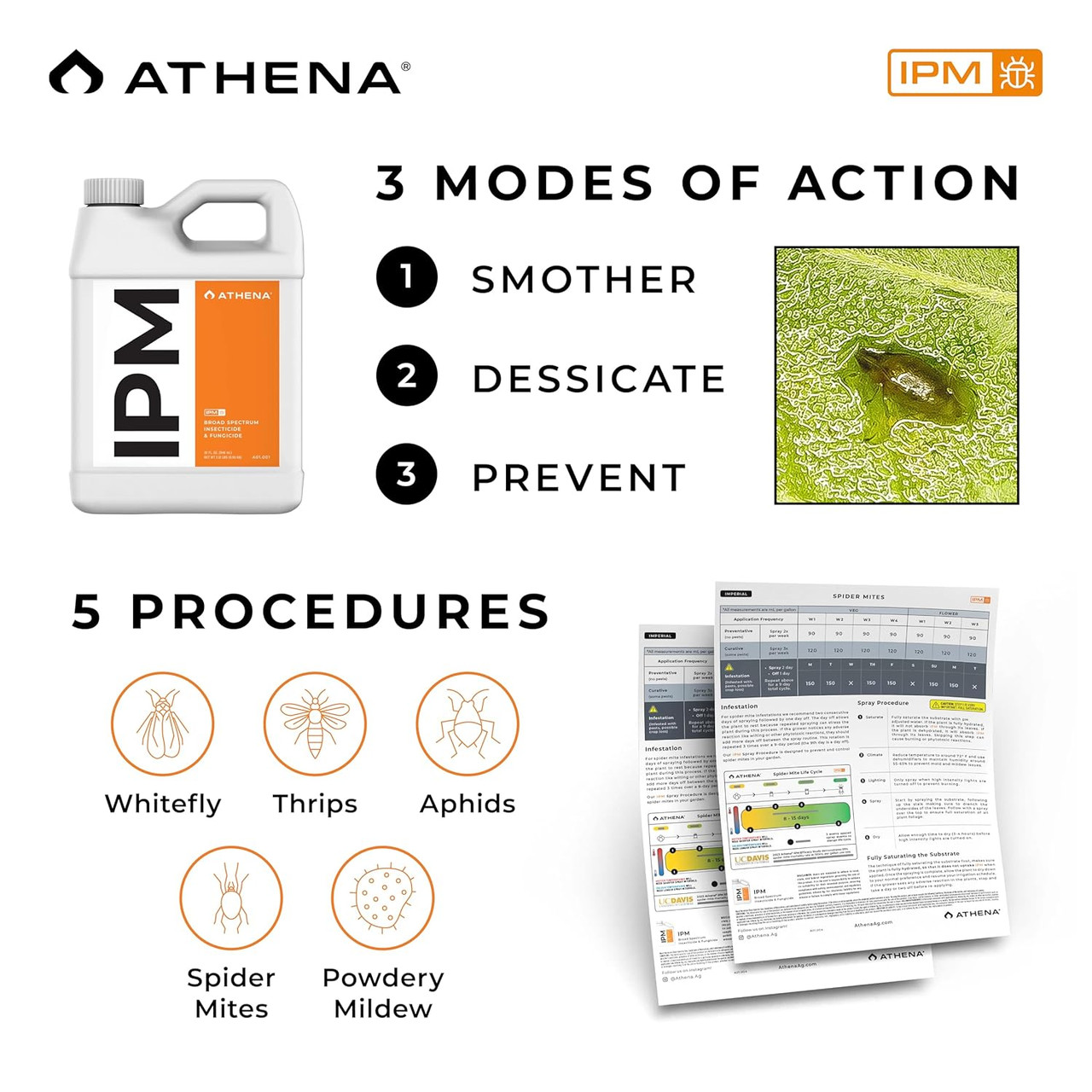Athena IPM Liquid (32 ounce) (3)