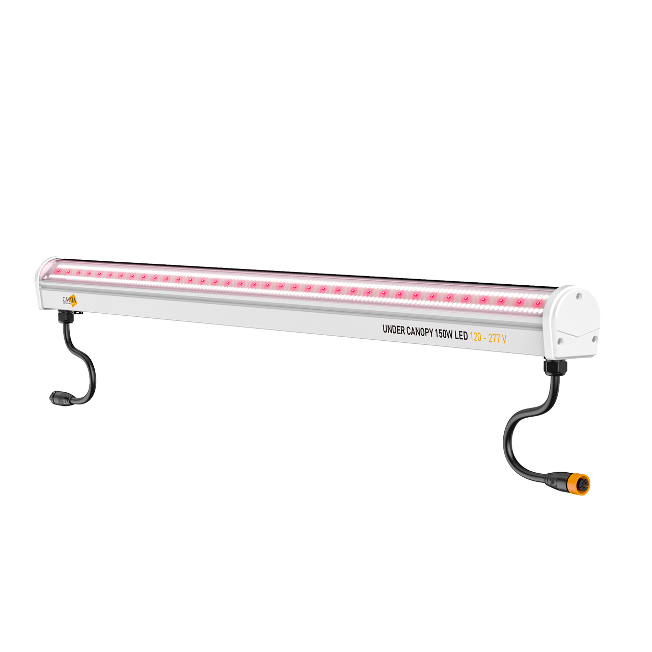 Gavita Under Canopy 150W LED bar with pink-red glowing diodes against a black background.