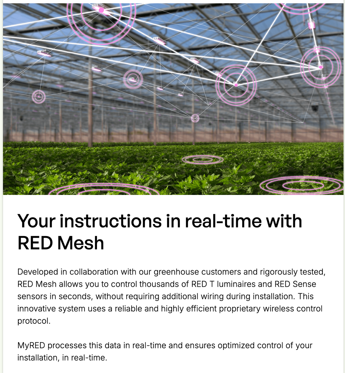 RED Horticulture MyRED, send the right light at the right time to your crops! (4)