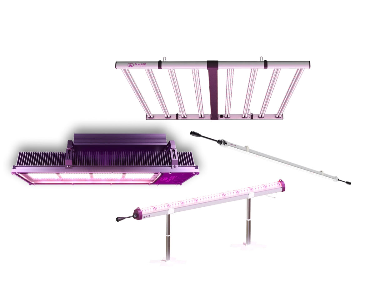 RED Horticulture MyRED, send the right light at the right time to your crops!