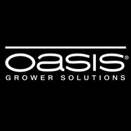 Oasis