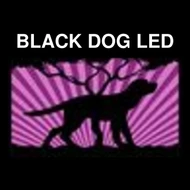 Black Dog LED