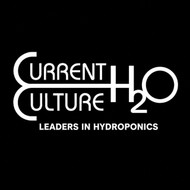 Current Culture