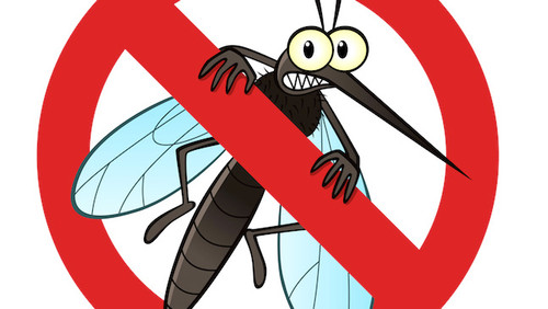 Mosquito Mosquito Dunks (6 per pack with 12 packs per case) in Bulk (MSD11012) UPC 018506001100