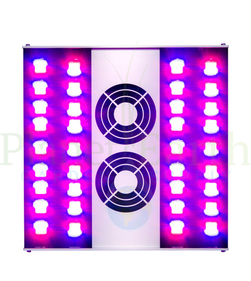 powerPAR 600W Greenhouse LED (240 Volt) Grow Light (ILP600) UPC 4646003859861 (2)