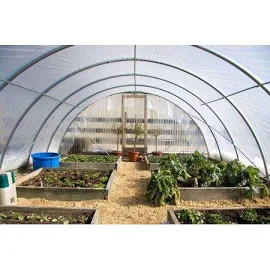 Sun Master 6 Mil (10' X 140' ) Clear Sheet