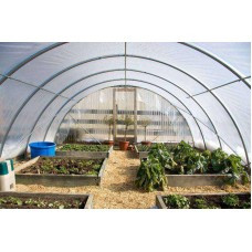 Sun Master 6 Mil (10' X 150') Clear Sheet