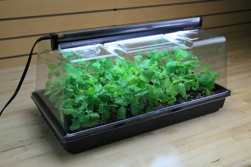 Super Sprouter Deluxe Propagation Kit with 7 inch Dome & T5 Light in Bulk (726403 ) UPC 20849969025693 (2)