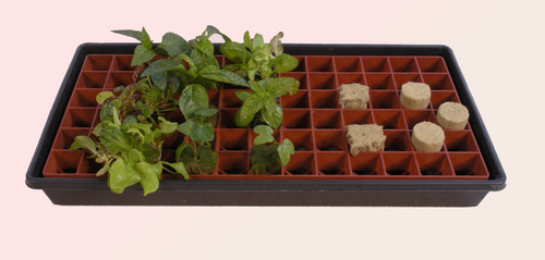 Grodan Gro-Smart Tray with 78-Cells, Terracotta (25 trays) (2)