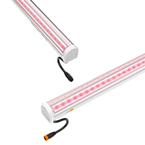Two white Gavita 150W LED under-canopy grow light bars with glowing red LEDs against a black background.