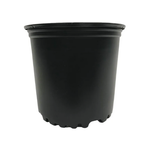 The Harvest Company Round Black Plastic Nursery Pots (1 Gallon) in in Bulk