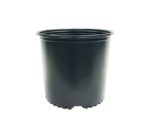 The Harvest Company Round Black Plastic Nursery Pots (3 Gallons) in Bulk