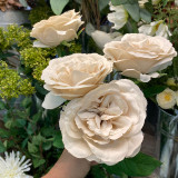 vintage cream faux flower stem, cream rose
