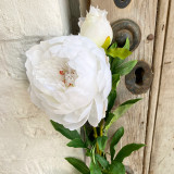 Large White Full Bloom Peony with Bud