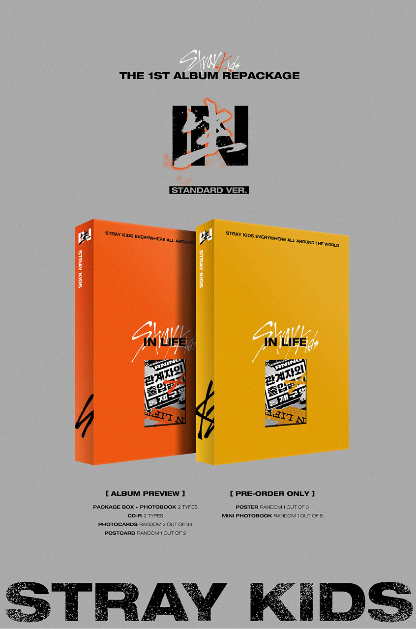 stray kids　IN生　限定盤　未開封 Stray Kids - [In生 (In Life)] 1st Album Repackage NORMAL (RANDOM