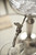 #2 Rooster Traditional Absinthe Fountain, 4 Spout