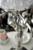 Lady Absinthe Fountain with 4 Spouts, Complete Set