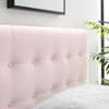 Modway Emily Twin Biscuit Tufted Performance Velvet Headboard MOD-6114-PNK Pink