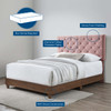 Modway Rhiannon Diamond Tufted Upholstered Performance Velvet Queen Bed MOD-6147-WAL-DUS Walnut Dusty Rose