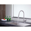 ANZZI Tycho Single-Handle Pull-Out Sprayer Kitchen Faucet in Brushed Nickel