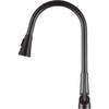 ANZZI Tulip Single-Handle Pull-Out Sprayer Kitchen Faucet in Oil Rubbed Bronze