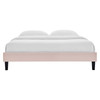 MODWAY Reign Queen Performance Velvet Platform Bed Frame MOD-6266 Pink