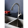 Accent Series Single-Handle Pull-Down Sprayer Kitchen Faucet in Brushed Nickel