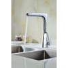 Timbre Series Single-Handle Standard Kitchen Faucet in Polished Chrome