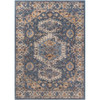 Surya Daytona beach DYT-2306 Rug Alternative View 1