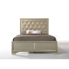 ACME Carine Queen Bed, PU & Champagne (1Set/2Ctn)