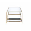 ACME 81090 Astrid Coffee Table, Gold & Mirror