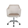 ACME 92506 Cosgair Office Chair, Champagne Velvet & Chrome