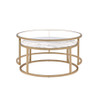 ACME 81110 Shanish 2Pc Pk Nesting Table Set, Faux Marble & Gold