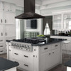 ZLINE BSGL2iN Island Mount Range Hood in Black Stainless Steel