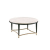 ACME 85380 Ayser Coffee Table, White Washed & Black